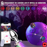 plug-anal-vibrant-pour-debutant-9-modes