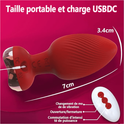 plug-anal-vibrant-rouge-en-forme-de-rose-10-modes