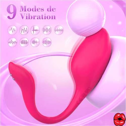 vibromasseur-pour-femme-a-distance