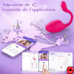 vibromasseur-pour-femme-a-distance