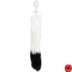 plug-anal-queue-de-chat-blanc-et-noir