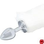 plug-anal-queue-de-chat-blanc-et-noir