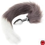 plug-anal-queue-de-chat-gris-et-blanc