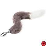 plug-anal-queue-de-chat-gris-et-blanc