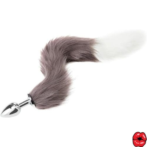 plug-anal-queue-de-chat-gris-et-blanc