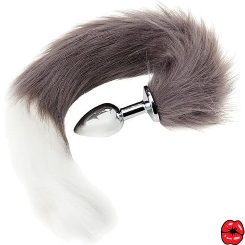 plug-anal-queue-de-chat-gris-et-blanc